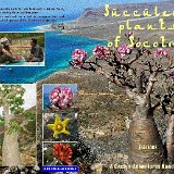 Succulents Plants of Socotra 60 pages, +200 photos couleurs, ed. Cactus-Aventures Int. 2010. (MULTILINGUE)   ISBN 978-84-613-5855-7 Fruit de plusieurs séjours à Socotra, ce petit guide est destiné aux voyageurs et aux collectionneurs des Succulentes de cette île magique, puisqu’il prétend illustrer la presque totalité des espèces présentes à Socotra, et qu’il permettra de les identifier sur le terrain, avec les principaux sites que l’on visite. Un index pratique termine l’ouvrage. (Cet ouvrage est gratuit avec l'achat de la revue Cactus-Aventures 2010)   9.80€ + 2.20€ porte para España peninsular 9.80€ + 4.20€ port autres pays - other countries Plus de détails sur le contenu et choix de paiements directement ici :  Cactus-Aventures International    (link to english here)     (enlace al español aquí)